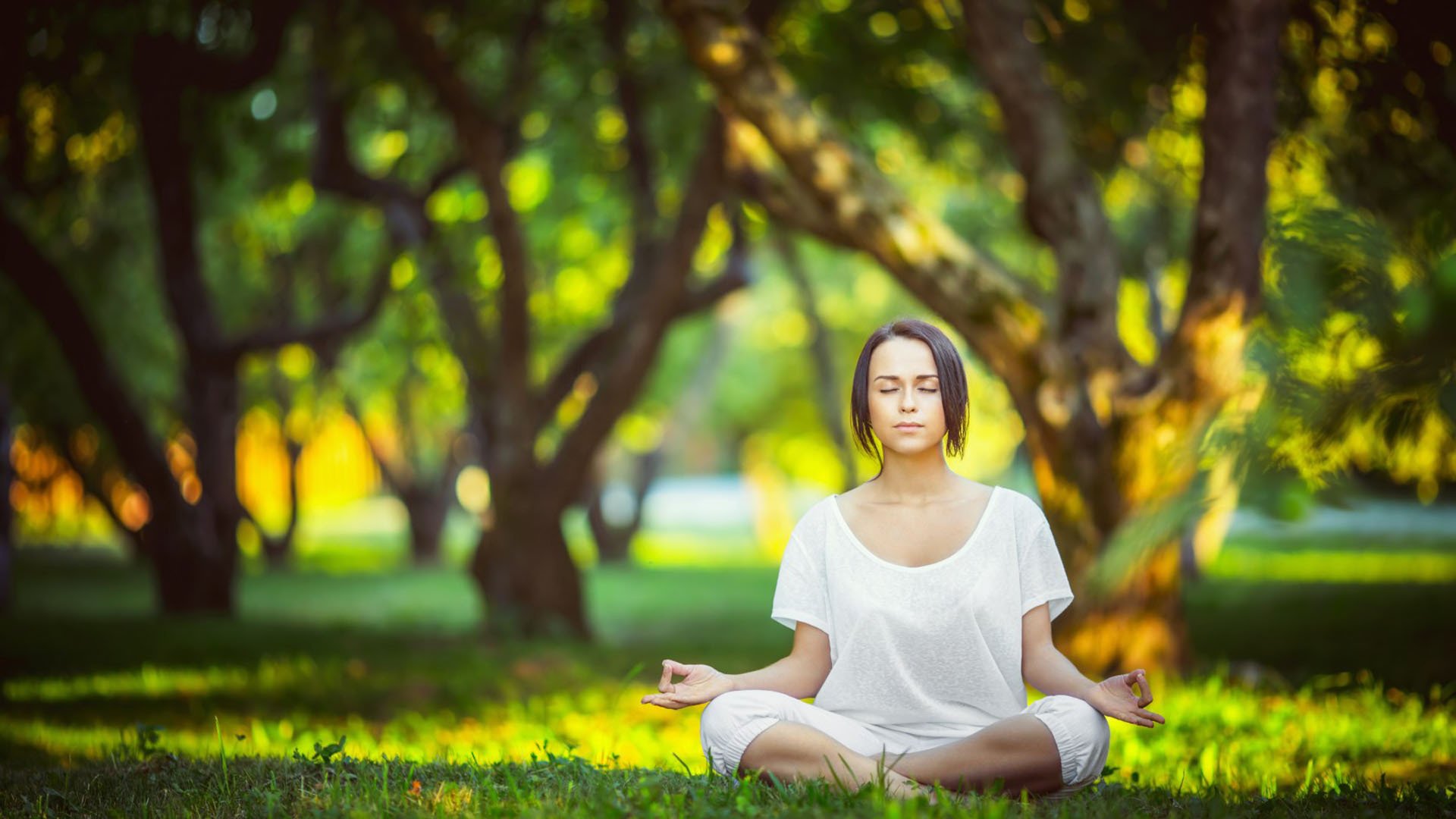 开云APP-血战奥兰多，步行者用血肉之躯筑起防线，乔治用无解统治证明谁才是今夜唯一主角